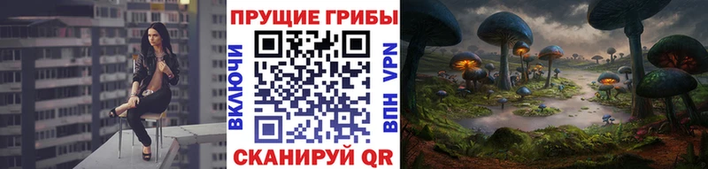 Галлюциногенные грибы MAGIC MUSHROOMS  кракен зеркало  Кемерово 